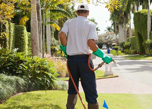 About Van Buren ME Pest Control Pros